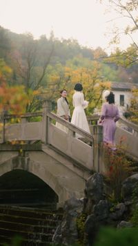 集 15