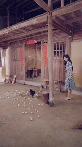 集 20