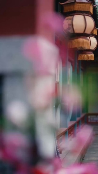 集 28