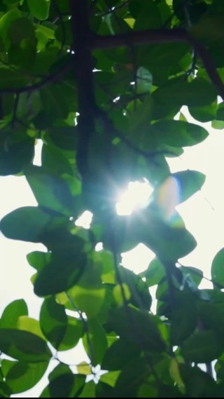 ตอนที่ 23