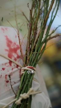 集 17