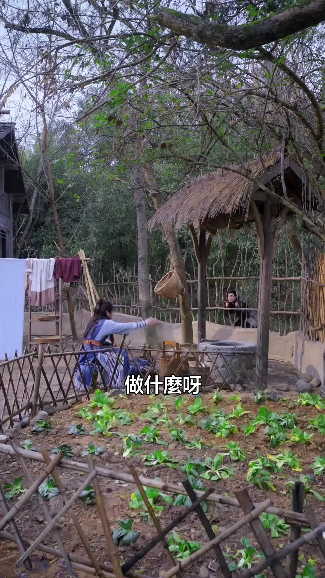 화 20