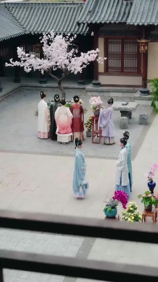 集 17