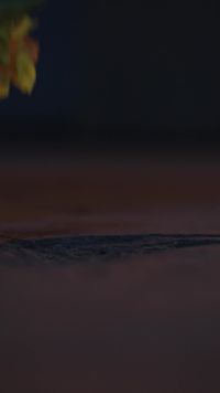 Episódio 13