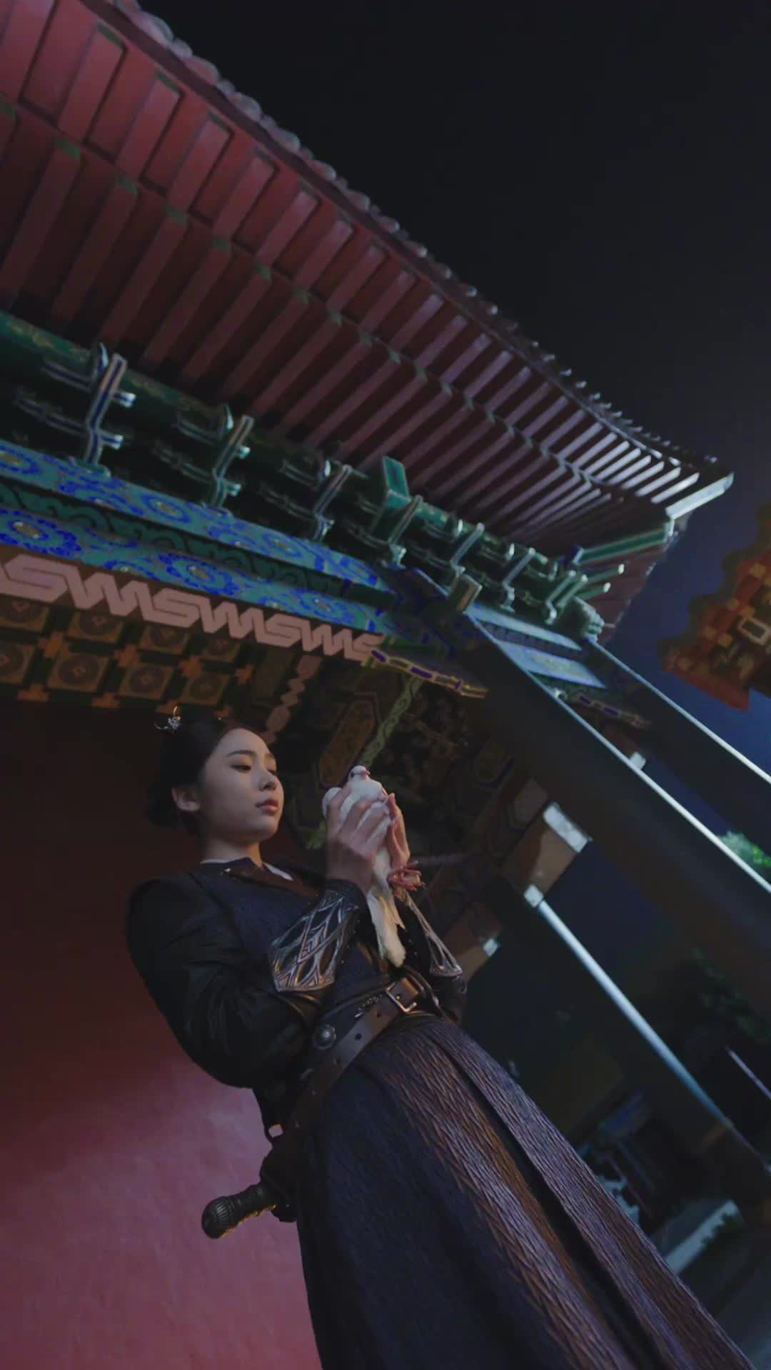 集 21