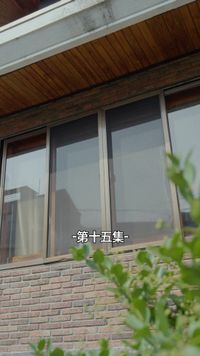 集 15