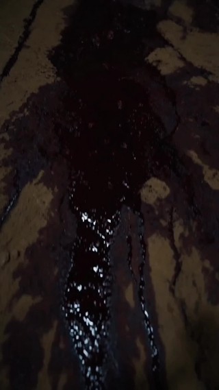 集 23