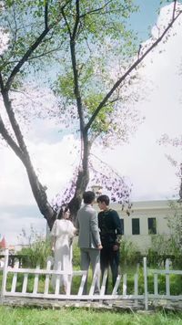 集 21