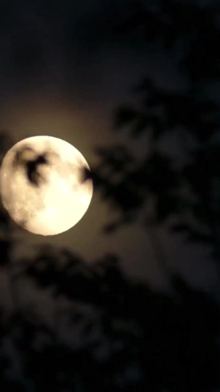 集 13