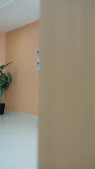 集 8