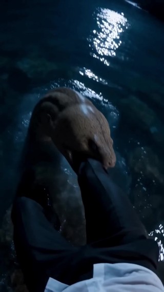 Episode 19