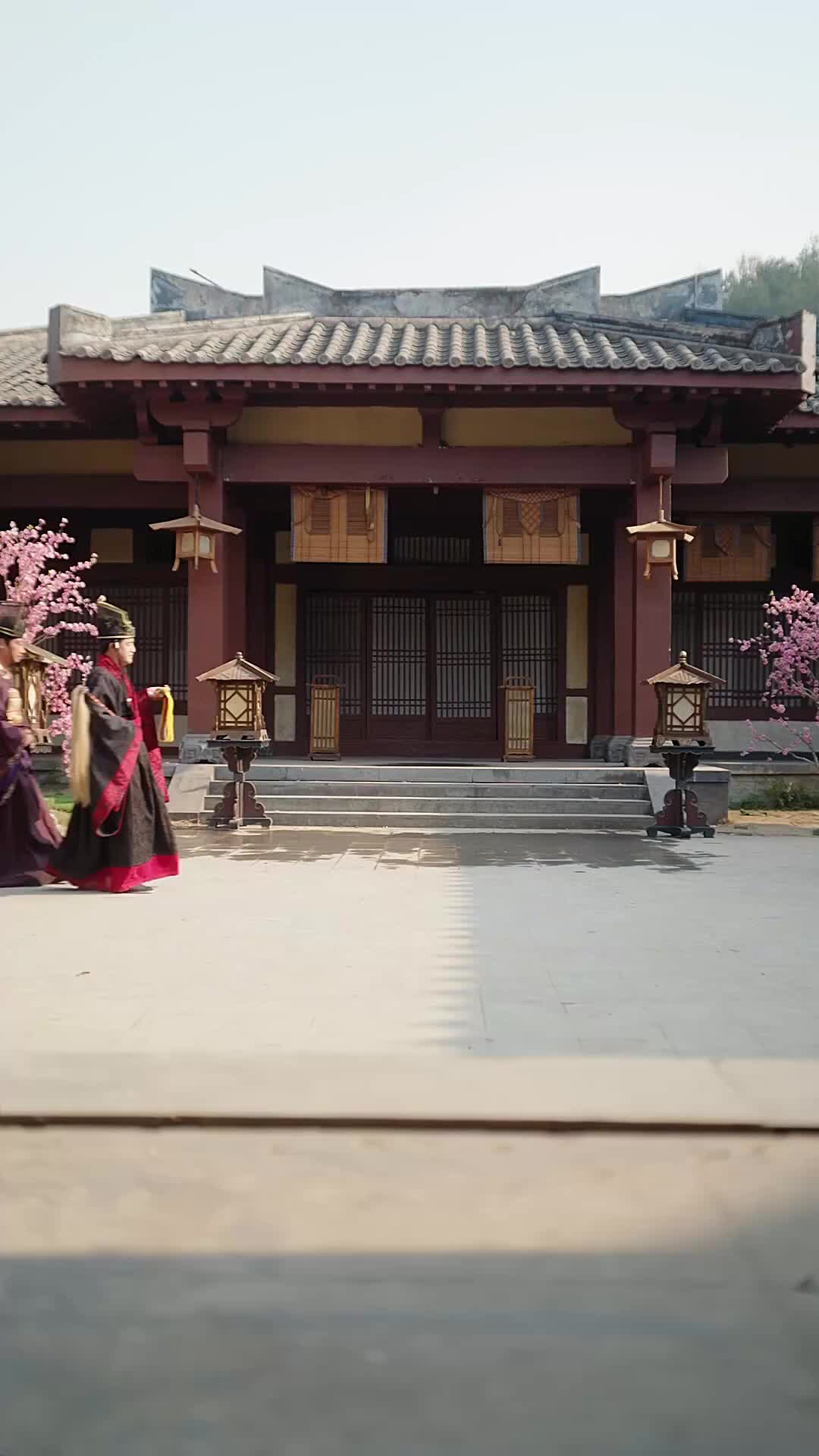 集 11