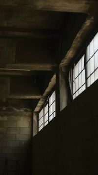集 5