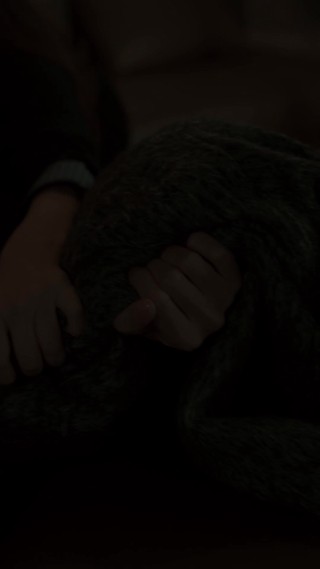 集 13