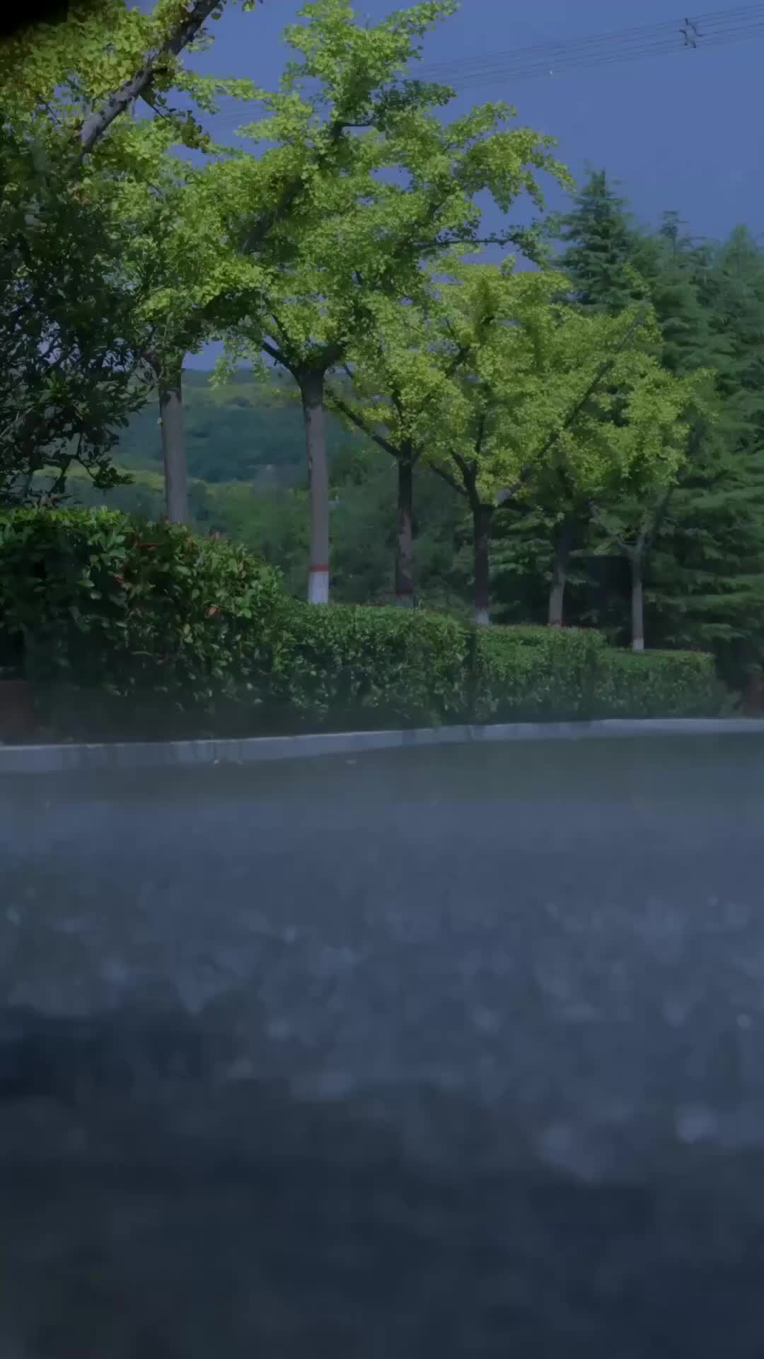集 1