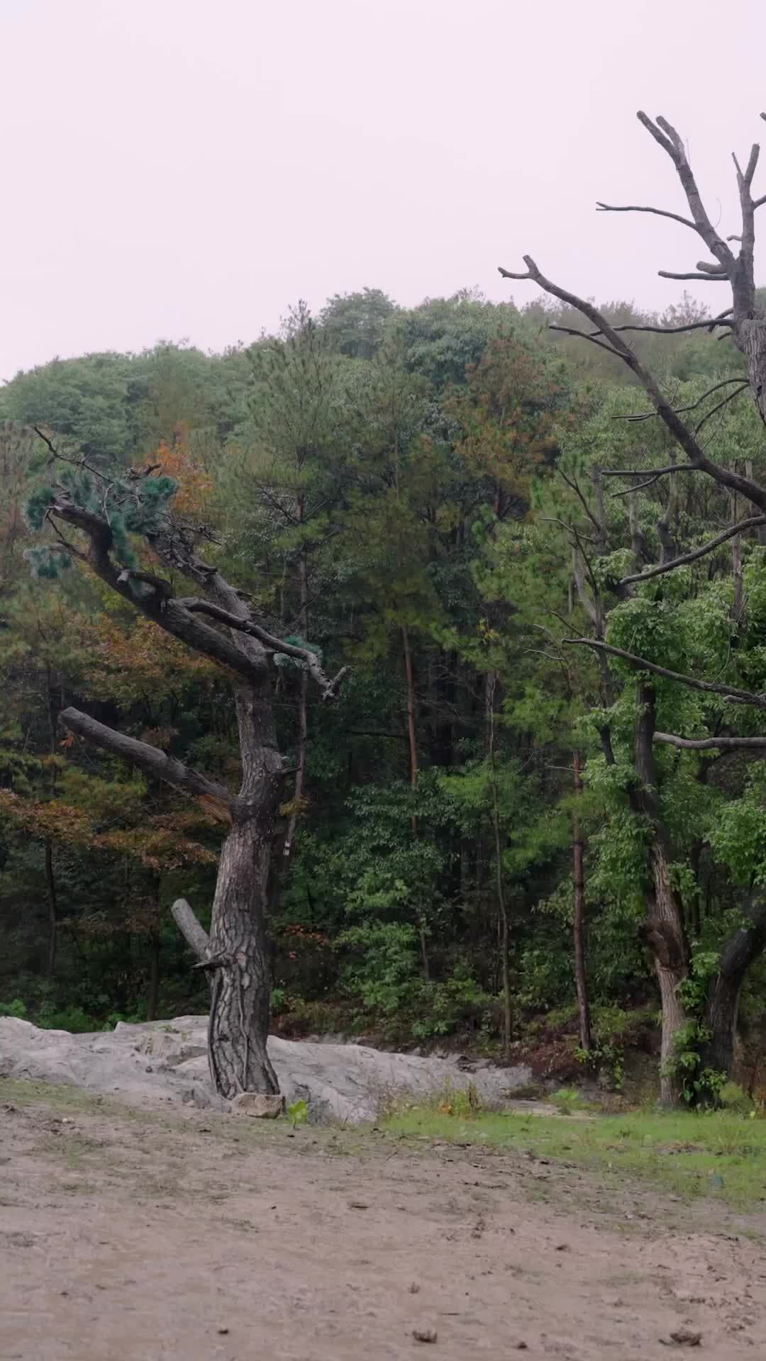 集 27