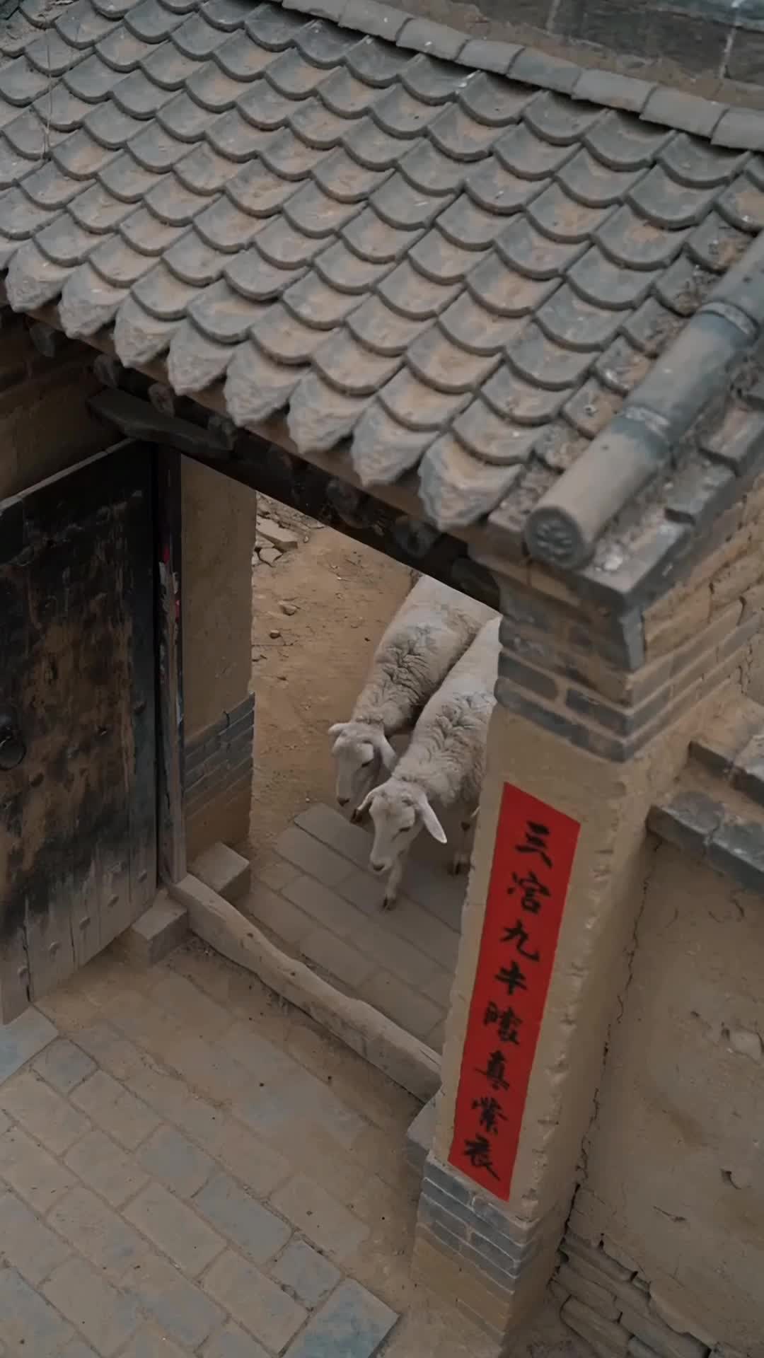 集 4