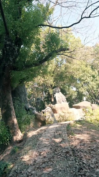 集 1