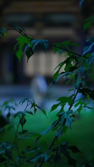 集 1