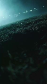 集 3