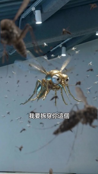 集 10