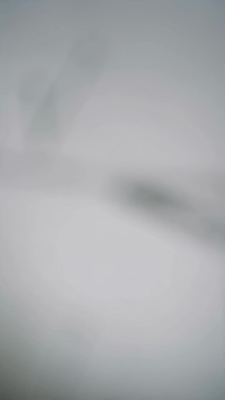 集 8