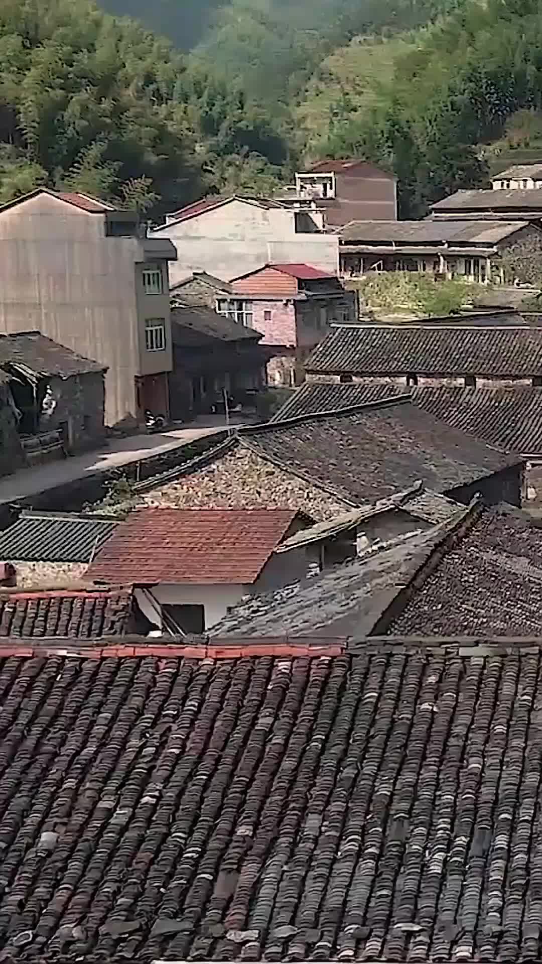 集 10