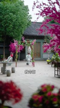 集 1