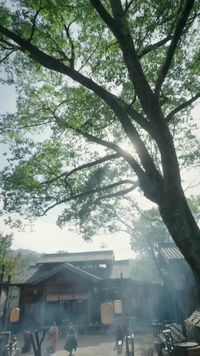 集 8