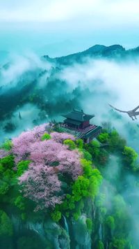 話 1