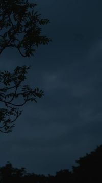 Épisode 7