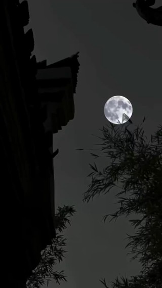 集 20