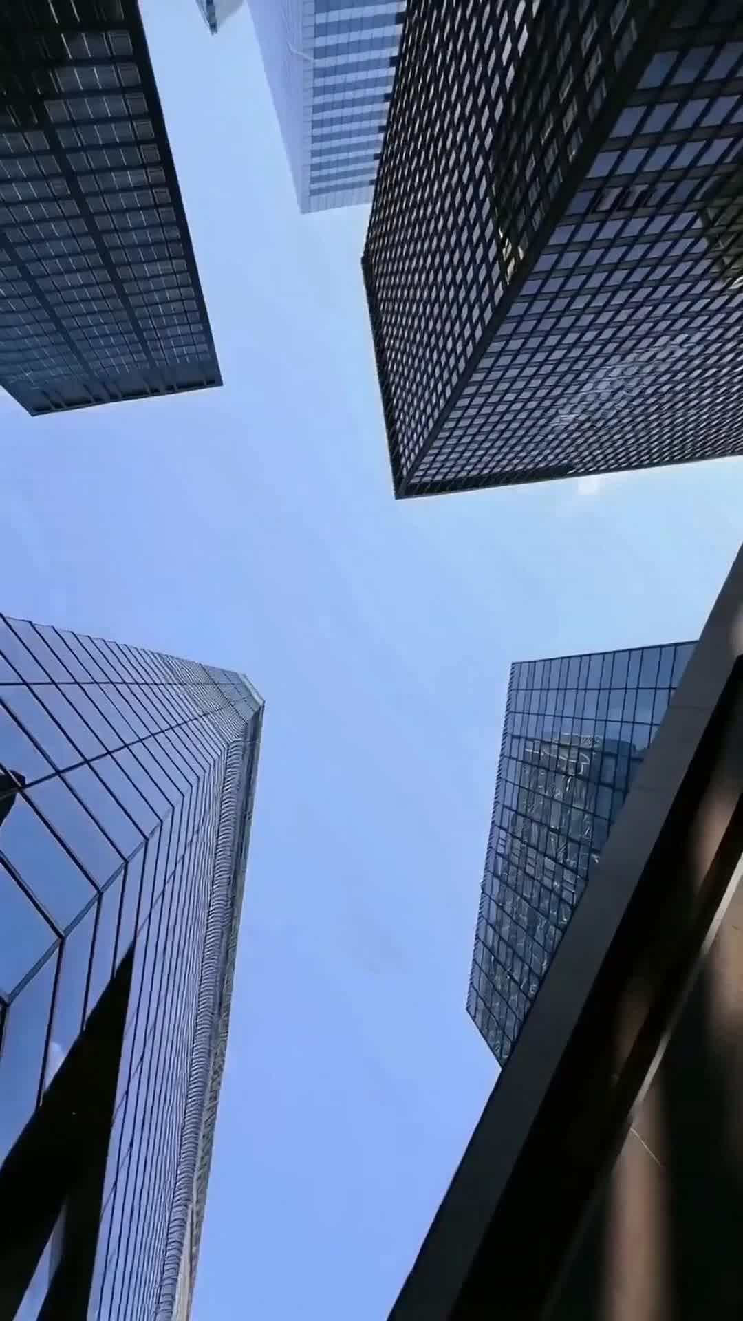 集 29