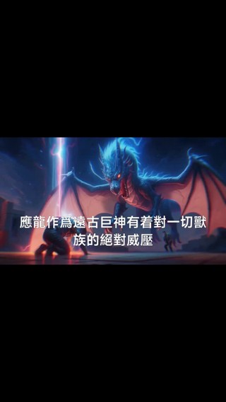 集 4