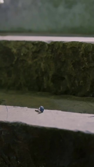 Episodio 5