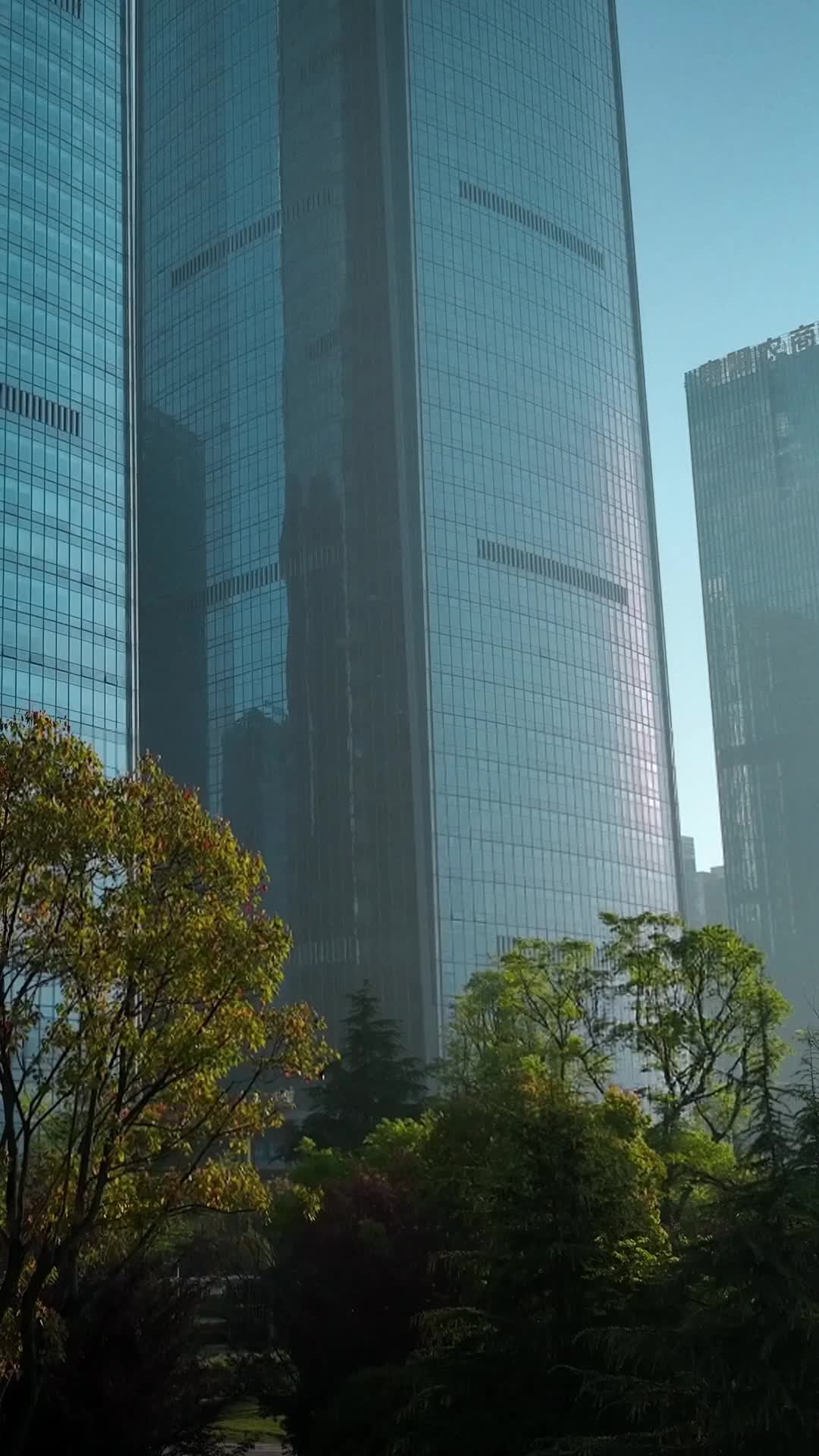 集 5