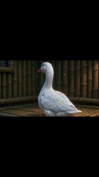 集 19