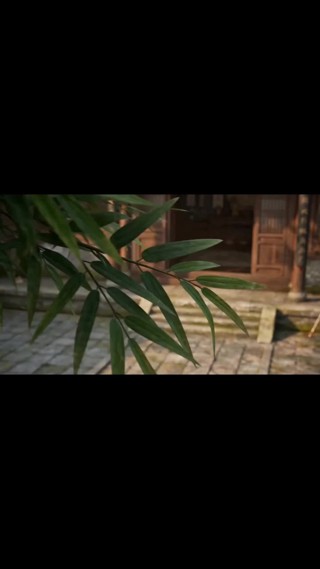 集 11