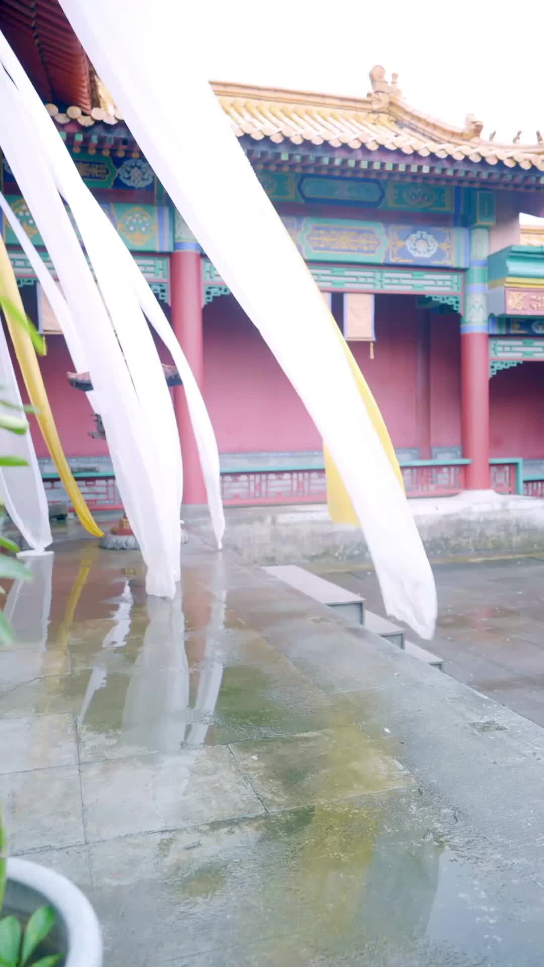 集 22