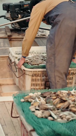 集 6