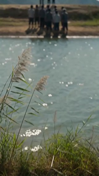集 19