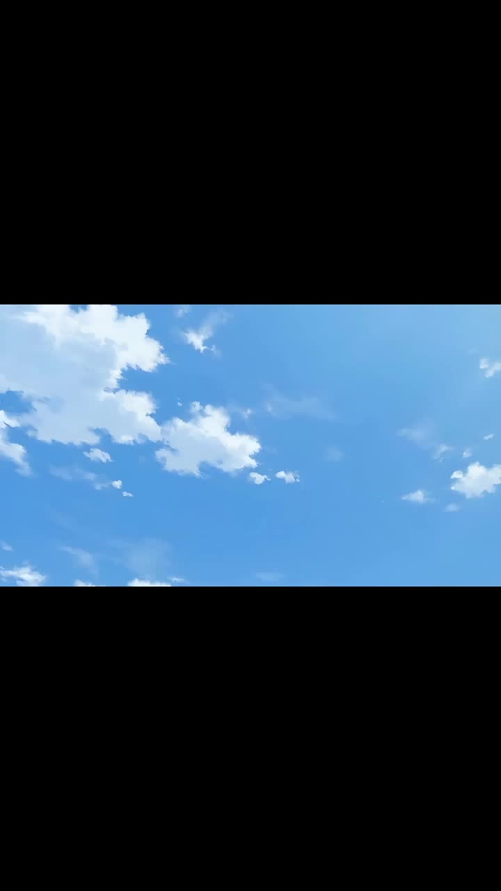 集 9