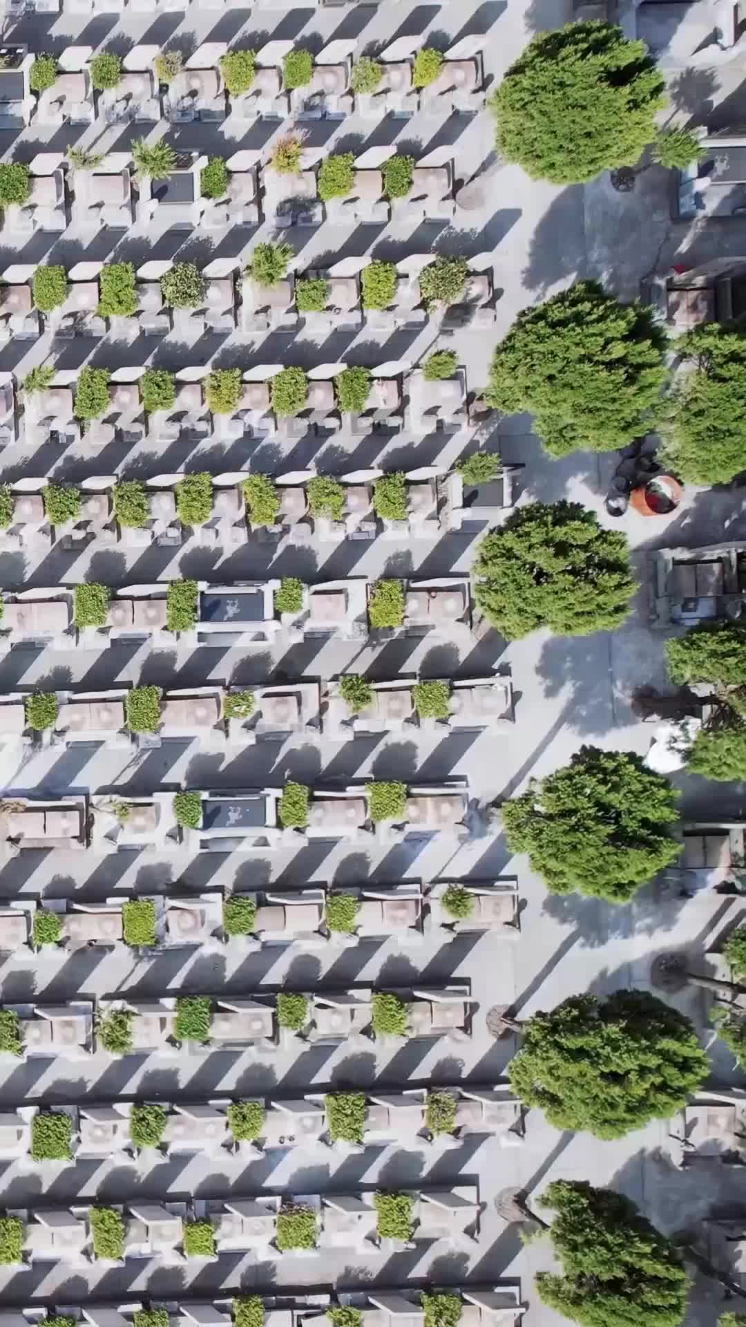 集 19