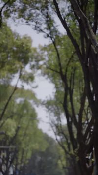 Episode 30