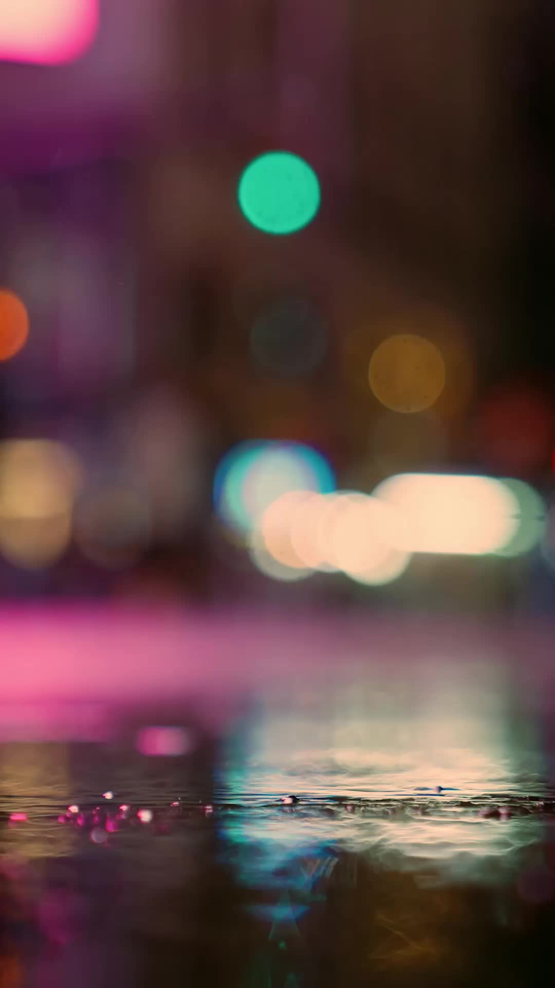 Épisode 20