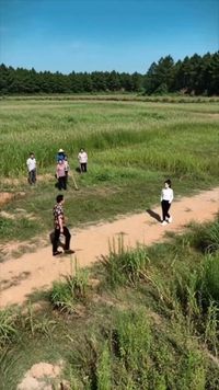 集 3