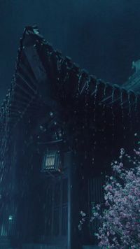 集 21