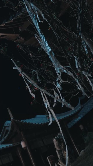 集 10