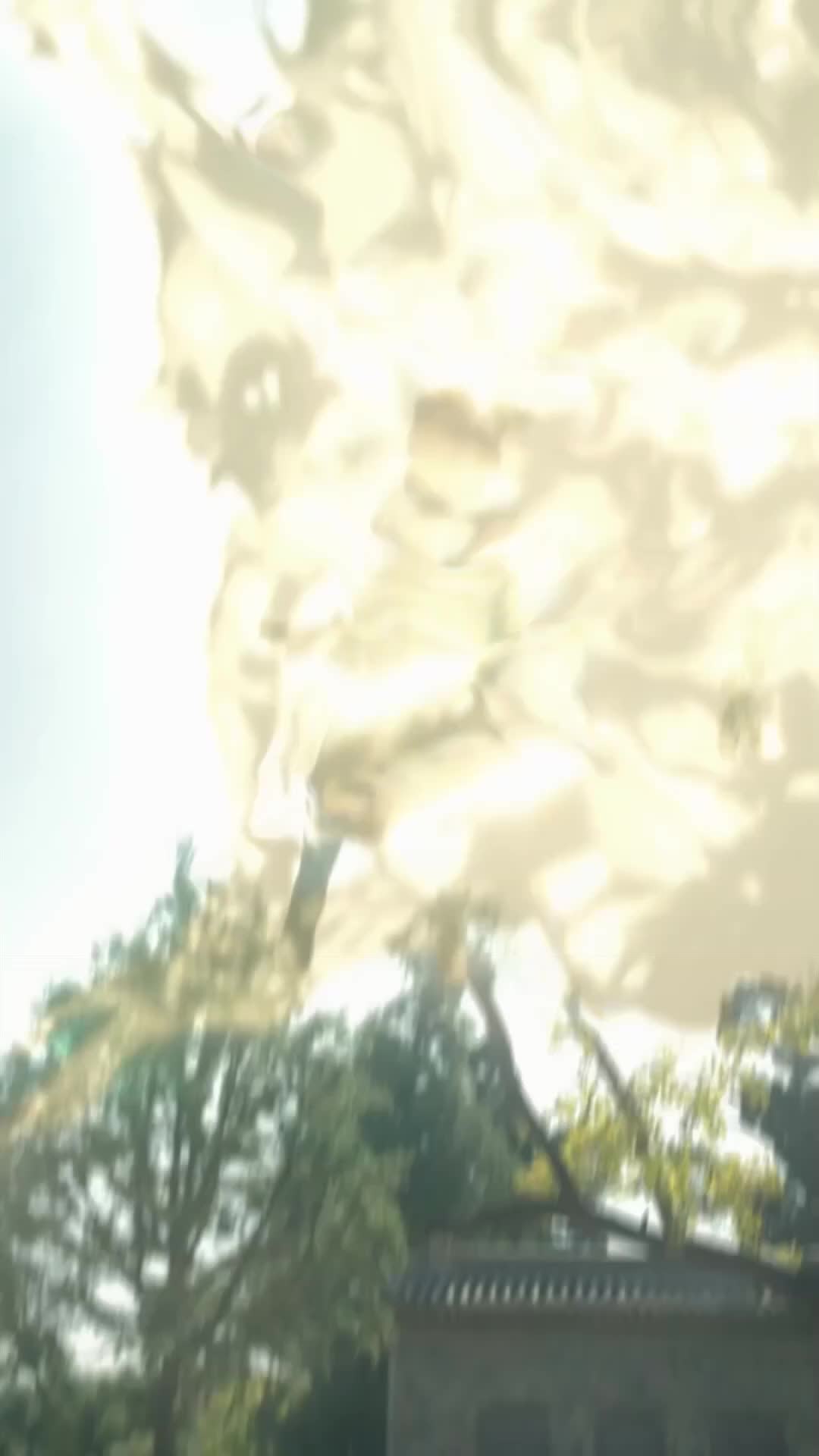 حلقة 2