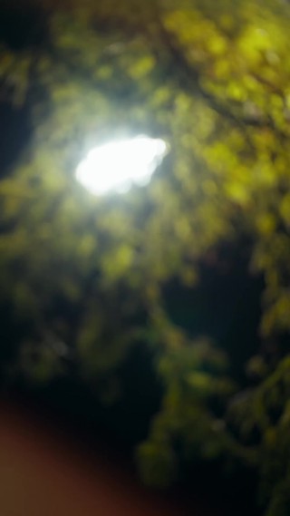 集 6